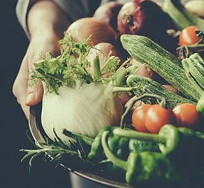 Cung cấp Rau-Củ-Quả