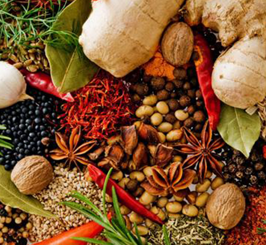 Cung cấp gia vị, thực phẩm khô